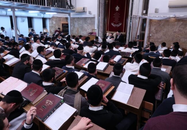 86437cf5-e4c6-4dda-9e7f-6a4e9f8b5a7f_tumb_800Xauto