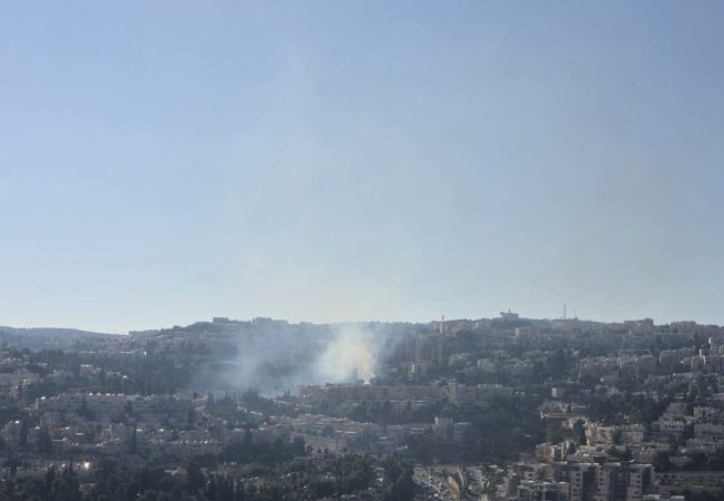 IMG-20260724-WA0181