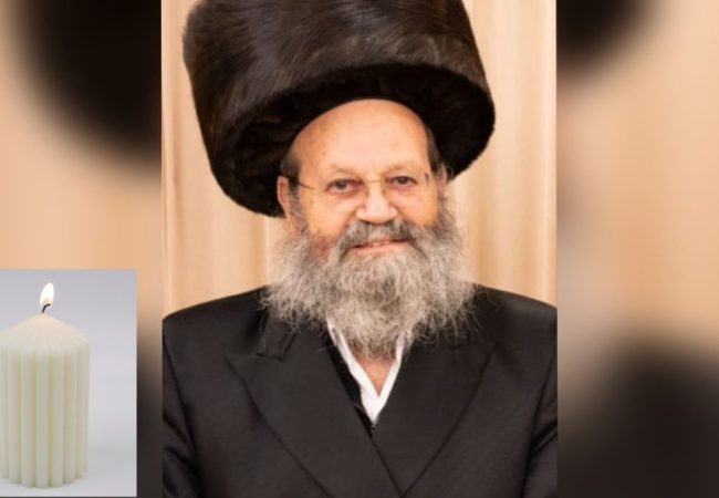 InShot_20260403_114228470