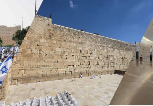 InShot_20260405_091021282(1)