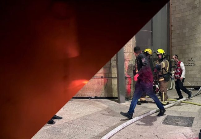 InShot_20260408_204709605