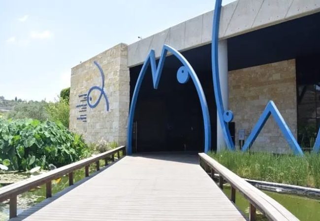 הכניסה למבנה האקווריום בעיר | צילום: צוריאל פנש - אקווריום ישראל