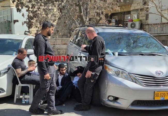 photo_5969586727481445822_y