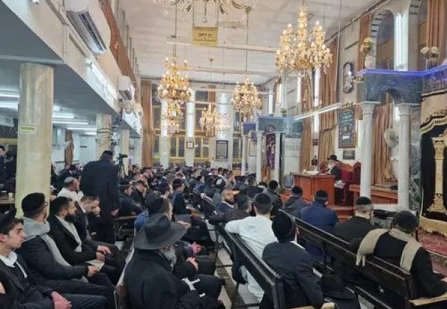 photo_5974336531814092410_x