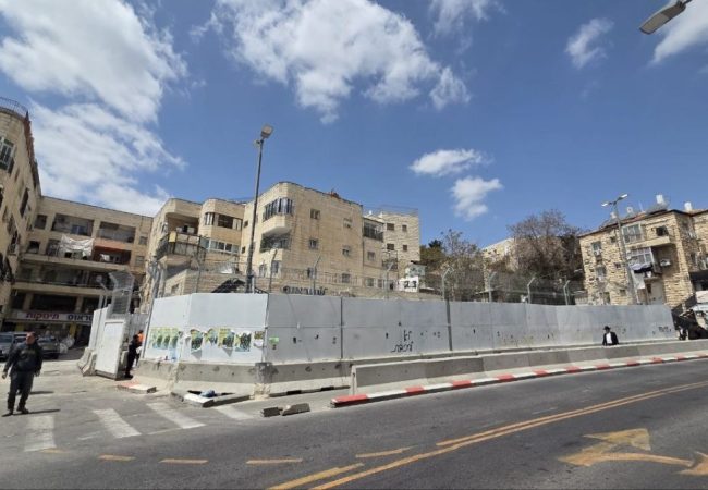 photo_5974336531814092554_y