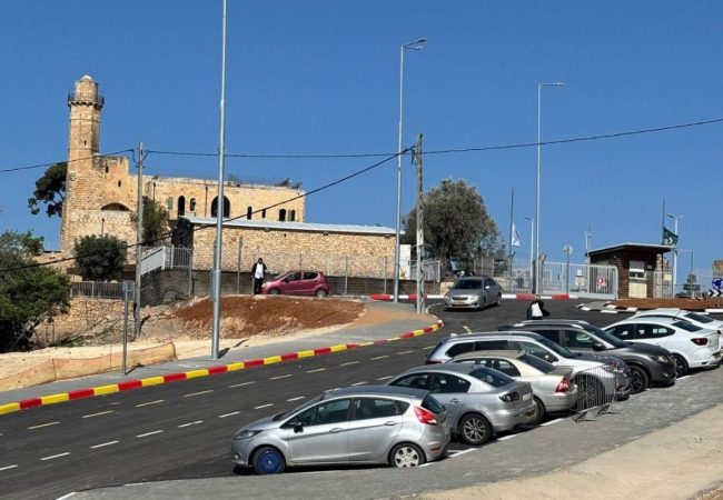 photo_5978992546945895740_y