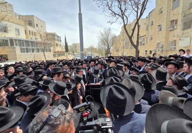 photo_5980932480594283795_y