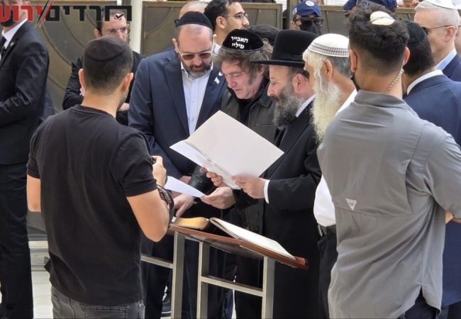 photo_5992104047013465354_y