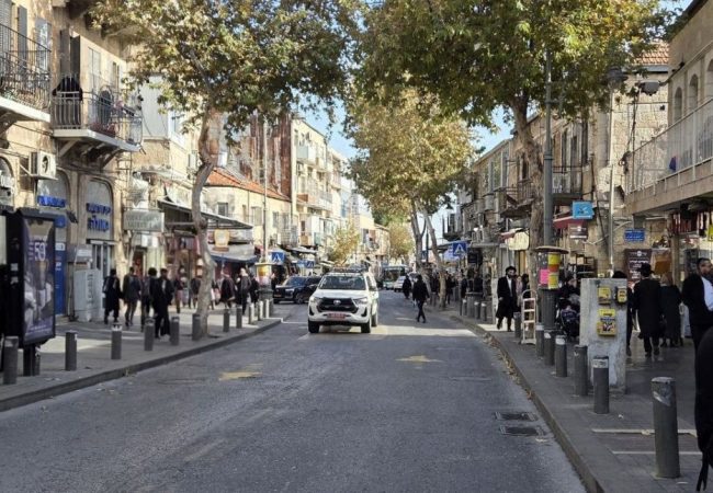 photo_5994495669487472162_y