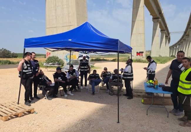 photo_5994495669487472174_y