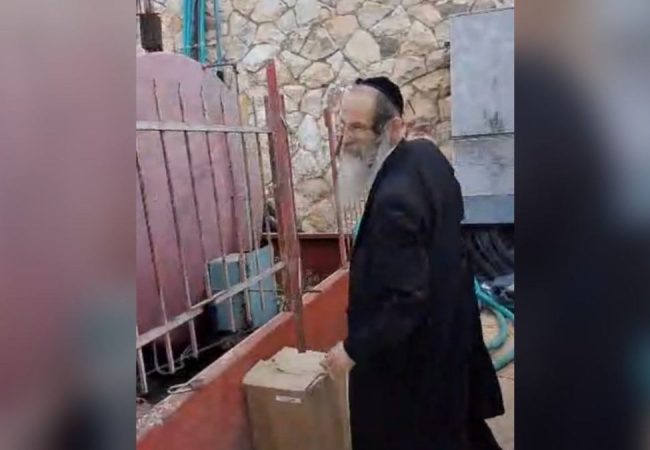 photo_5994495669487472191_y