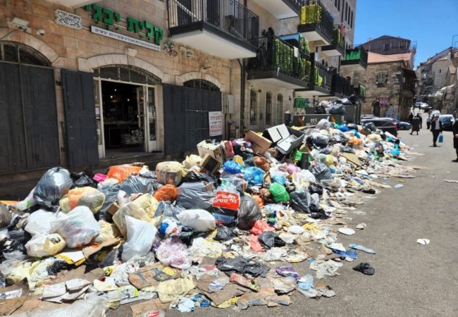 photo_6003735093328940304_y