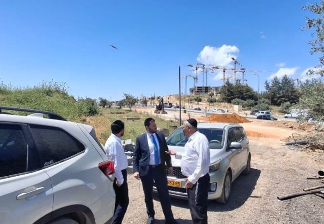 photo_6023801206305655948_y