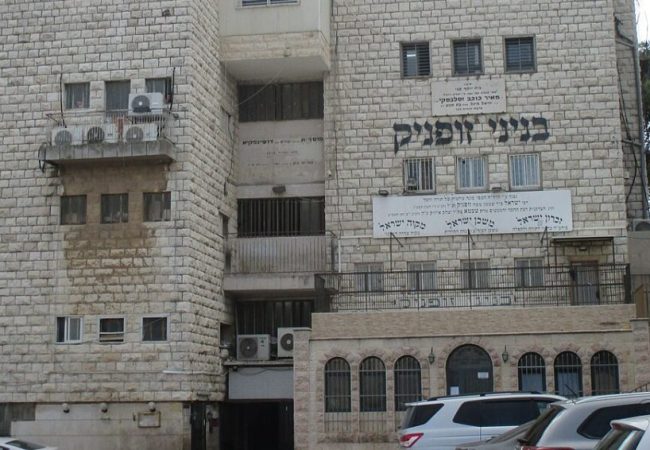 זופניק (1)
