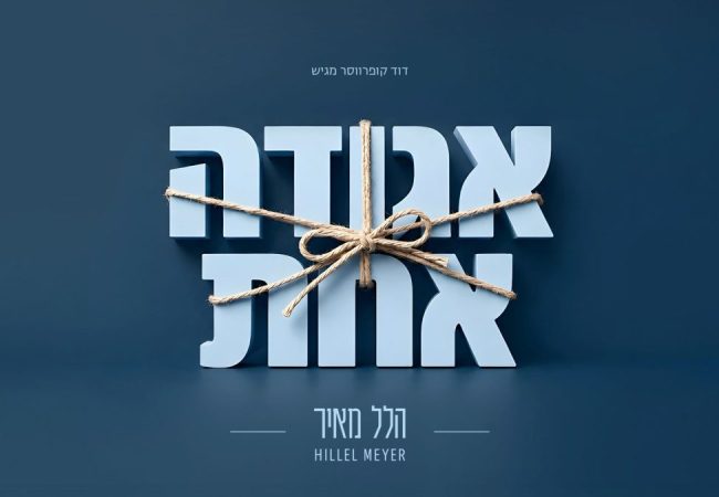 מלבן - אגודה אחת
